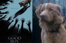 Good Boy