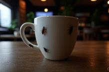 Imagen referencial café
