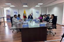 PLENO CPCCS