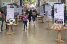 EXPO FAU en la UArtes