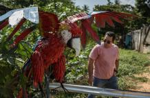 escultura de una guacamaya