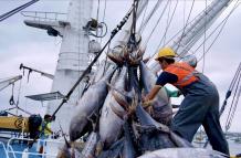 pesca industrial