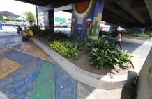 Jardineras sin rejas bajo el paso a desnivel en Francisco de Orellana y Carlos Plaza Dañín
