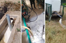 Productores botan la leche al no poder comercializarla por el paro.