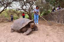 galapagos