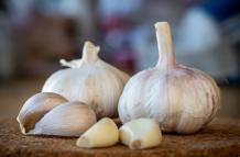 Ajo