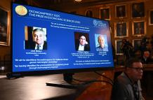 El Nobel de Economía pone fin a la temporada de premios de este año