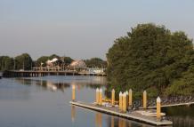 Ecosistema en el estero Salado
