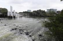 contaminacion guayaquil