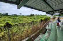CANCHA DE BEISBOL CON MALEZA 2