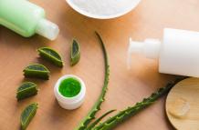 hojas-de-aloe-vera-con-un-tarro-de-crema-de-belleza