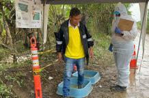 Controles por fusarium