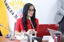 Viviana Veloz, presidenta de la Comisión