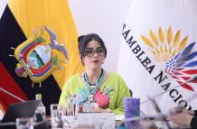 Viviana Veloz, presidenta de la Comisión