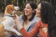 Cómo Extender la Vida de tu Perro: Prácticas Basadas en Estudios Científicos Actualizados