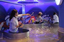 MUSEO DEL AGUA YAKU (14530020)