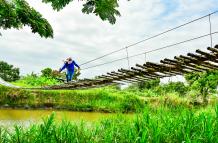 FRANCISCO FLORES  - 21102025 - ARROZ (20)