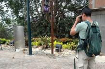 Avistamiento de aves