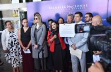 El bloque de ADN en la Asamblea impulsa una enmienda que deberá recibir dictamen de vía de la Corte Constitucional