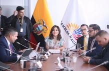 Inés Alarcón, presidenta de la Comisión de Seguridad