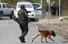 Policía inspecciona con un perro en Cali (Colombia)