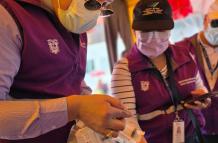 Arcsa ejecutó un operativo de control en los exteriores del Hospital Guasmo Sur, en el sur de Guayaquil