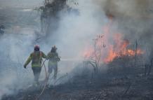incendio forestal en vía a Daule