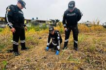 Policía Animales Zona 8