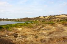 HECTAREAS TERRENOS LA LIBERTAD