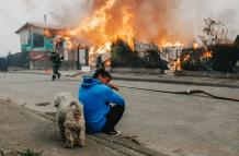 Mundo, Chile, Clima extremo, Incendios forestales