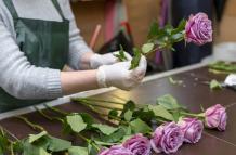 exportación de rosas en Quito