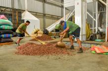 cacao+volatilidad+precios