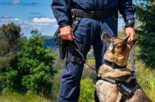 Incautacion de droga