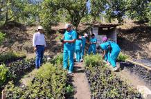 INFO GENERAL PELILEO