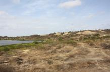 Terrenos de la fallida venta de La Libertad