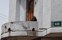 UBA rescata a un perito en Quito