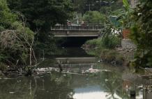 contaminación estero Salado