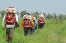 Uso de plaguicidas en productos ecuatorianos de agroexportación