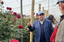 finca florícola en Ecuador