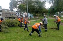 Caída de árboles Quito