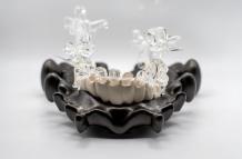 MUESTRA ERNESTO SALAZAR