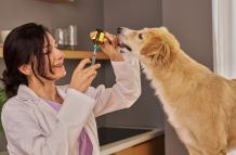 Medicina para animales