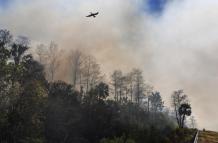 Parque Nacional Big Cypress,