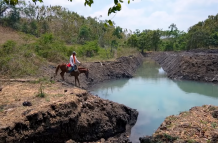 Trabajo en albarradas en Guayas
