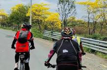 Ciclistas de la calle