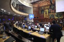 El Pleno de la Asamblea no autorizó el levantamiento de la inmunidad de la asambleísta Mónica Palacios.