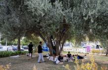 Mundo, Europa, España, Migración, Salud