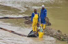 Ha pasado un año desde el derrame de petróleo ocurrido el 13 de marzo de 2025 en el sector El Vergel,