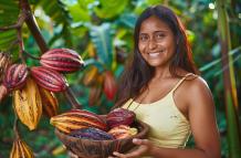cacao de exportación