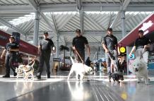 Mundo, aeronáutica, México, Mascotas